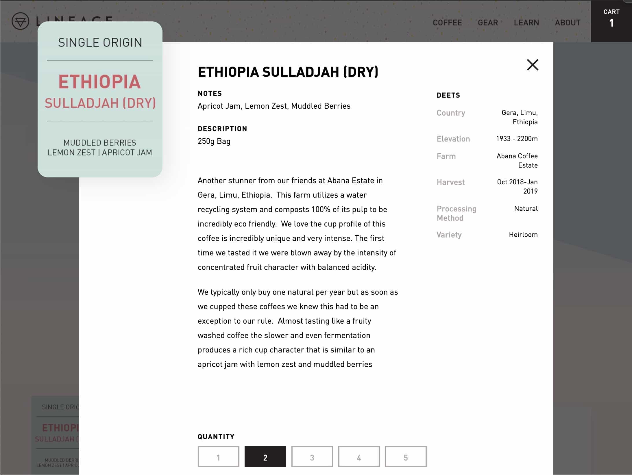 Lineage Roasting screenshot by Drew Powers